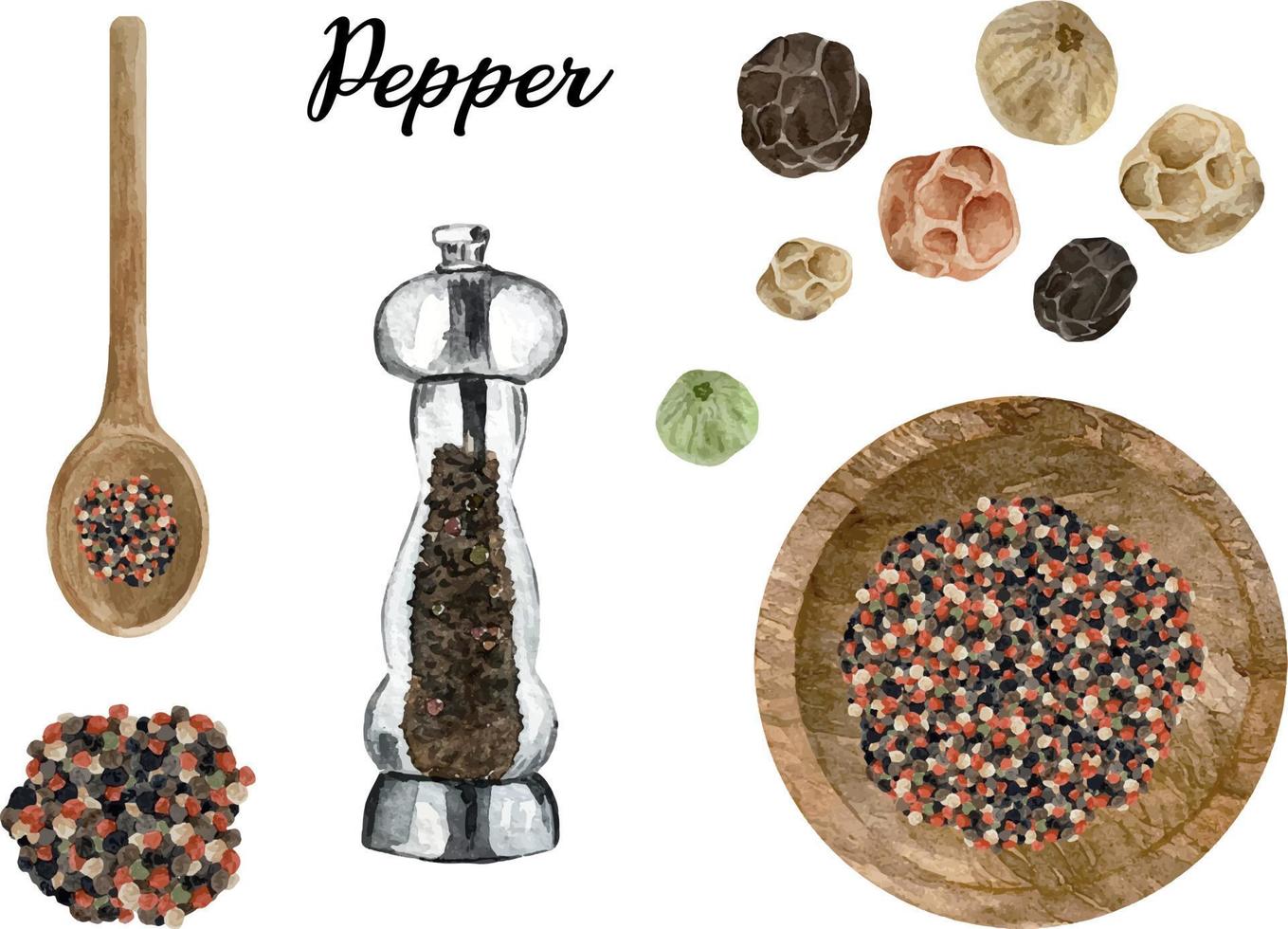 Watercolor black, red and white dry peppercornes in wooden bowl vector