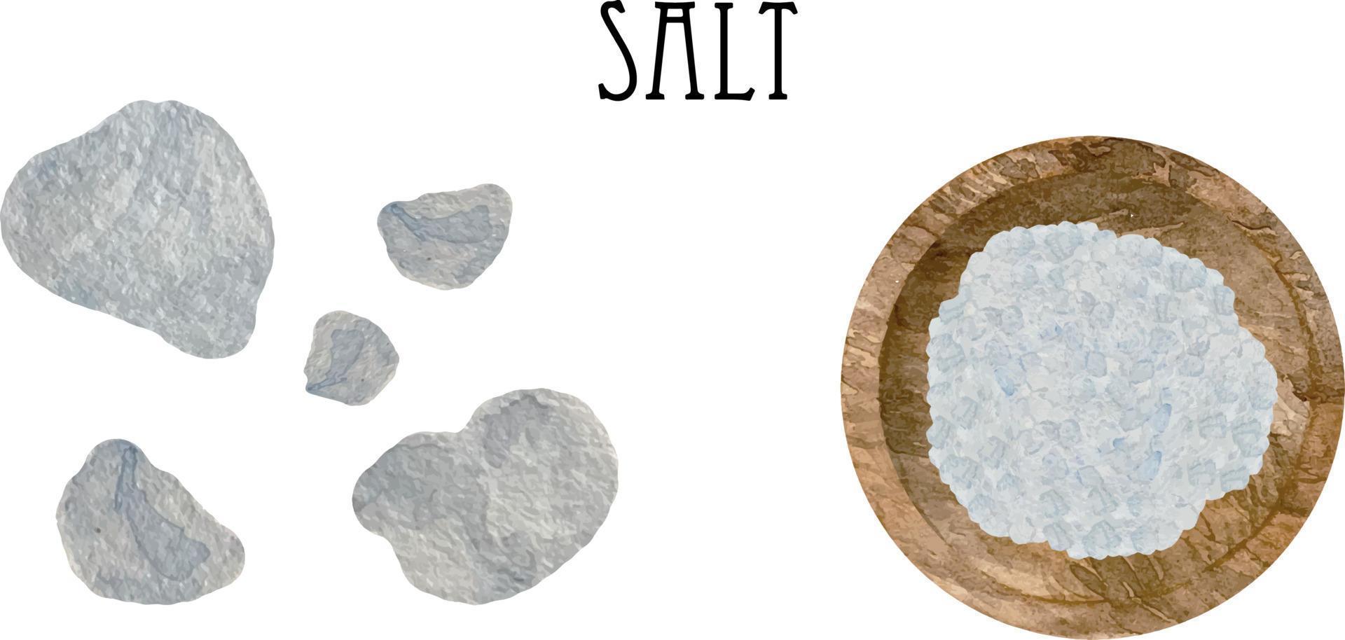 Watercolor white sea salt pellets in wooden bowl and spoon. Kitchen pepper spices and herbs set. vector