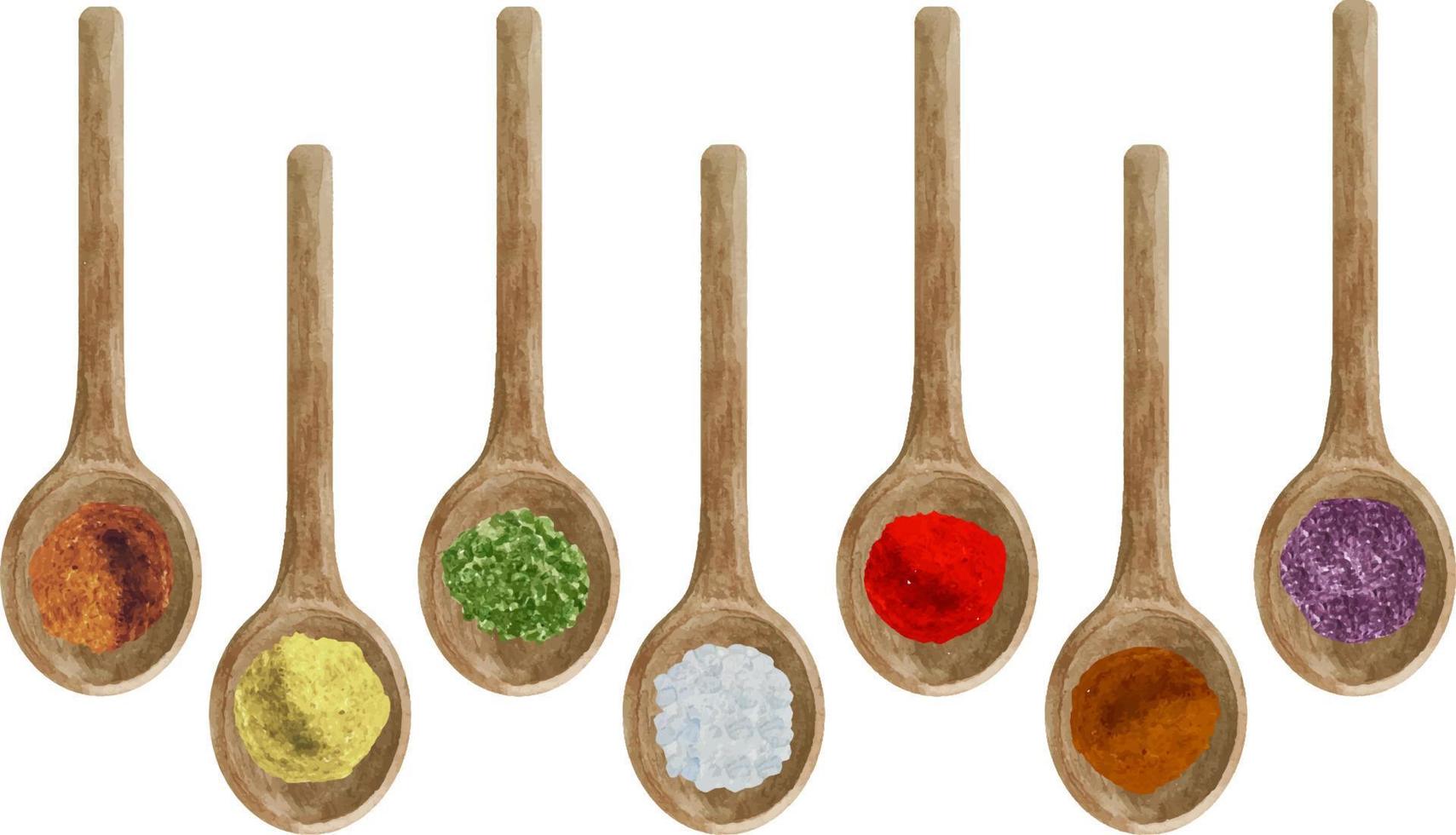 Watercolor dry kitchen spices in wooden spoon pepper, chili, curcuma, ginger, cardamom, nutmeg vector