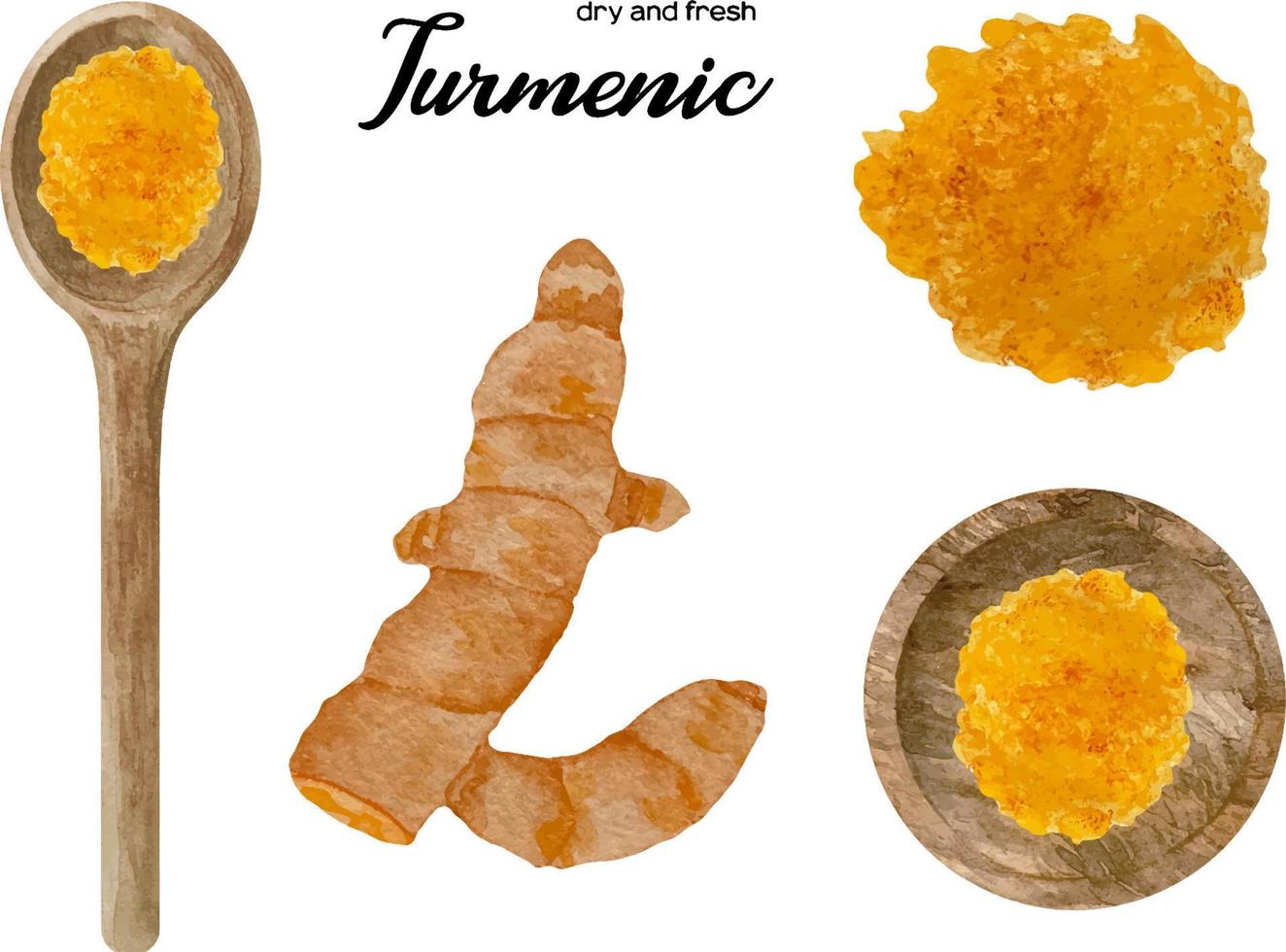 Watercolor fresh and dry orange turmeric in wooden bowl and spoon. Kitchen spices and herbs set. vector