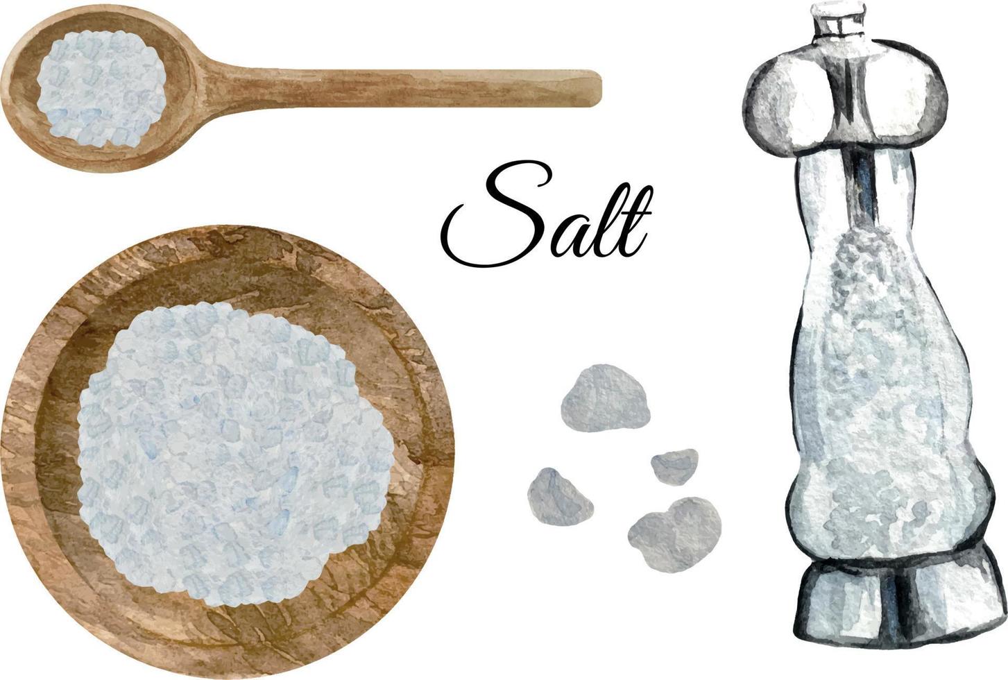 Watercolor white sea salt pellets in wooden bowl and spoon. Kitchen pepper spices and herbs set. vector