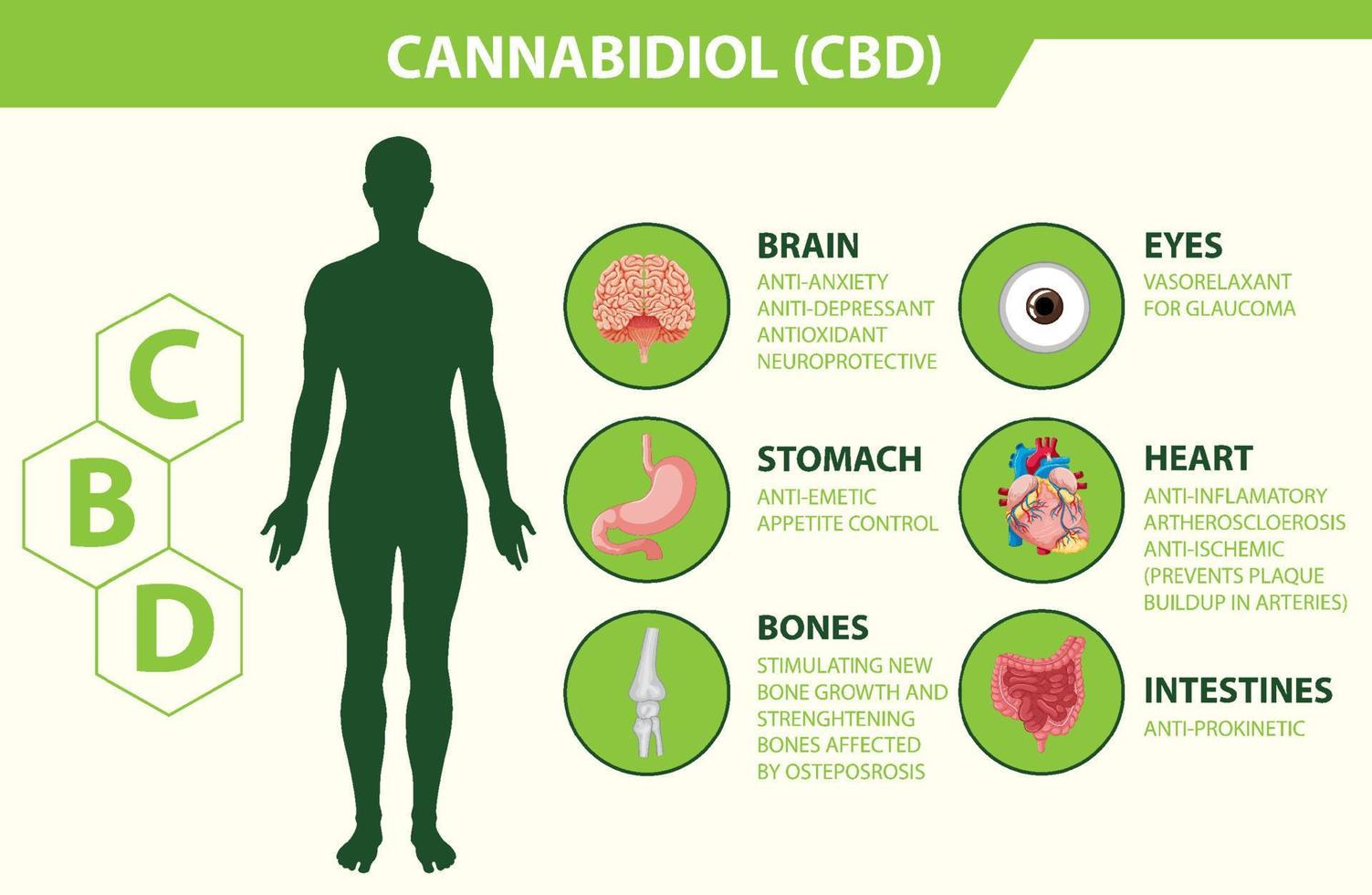 diagrama de beneficios de cbd para la salud física vector