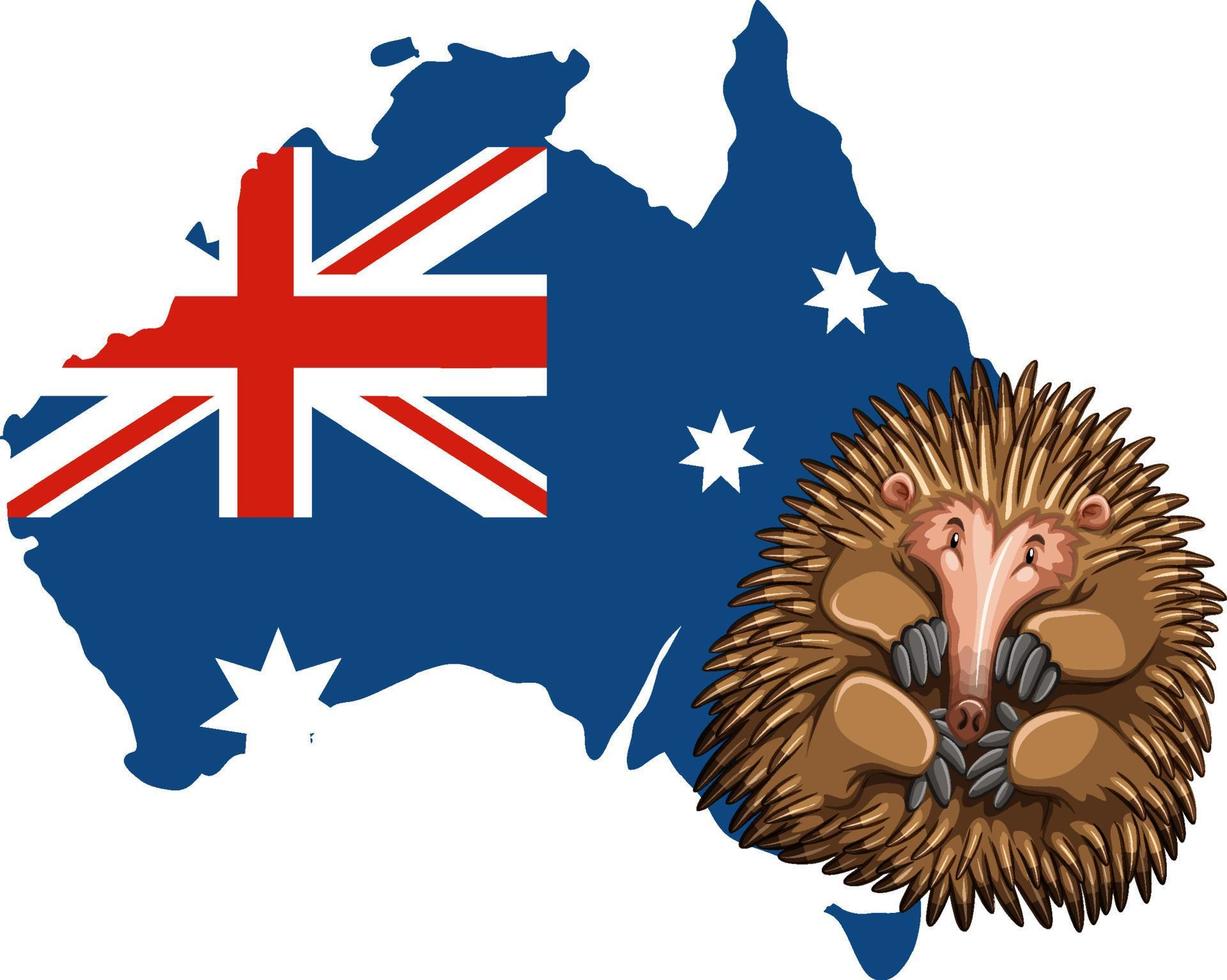 Echidnas Australian Animal Cartoon vector