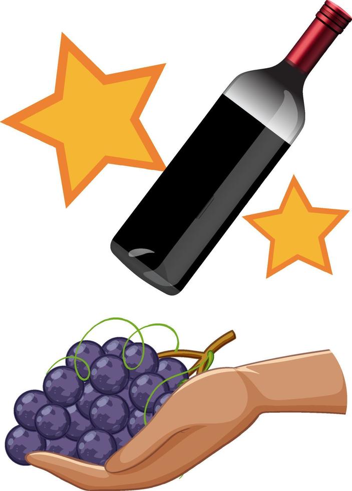 Wine bottle and grapes on hand vector