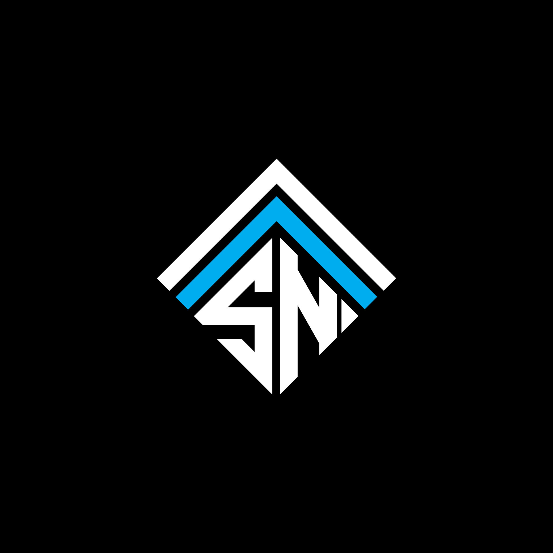 SN letter logo creative design with vector graphic, SN simple and