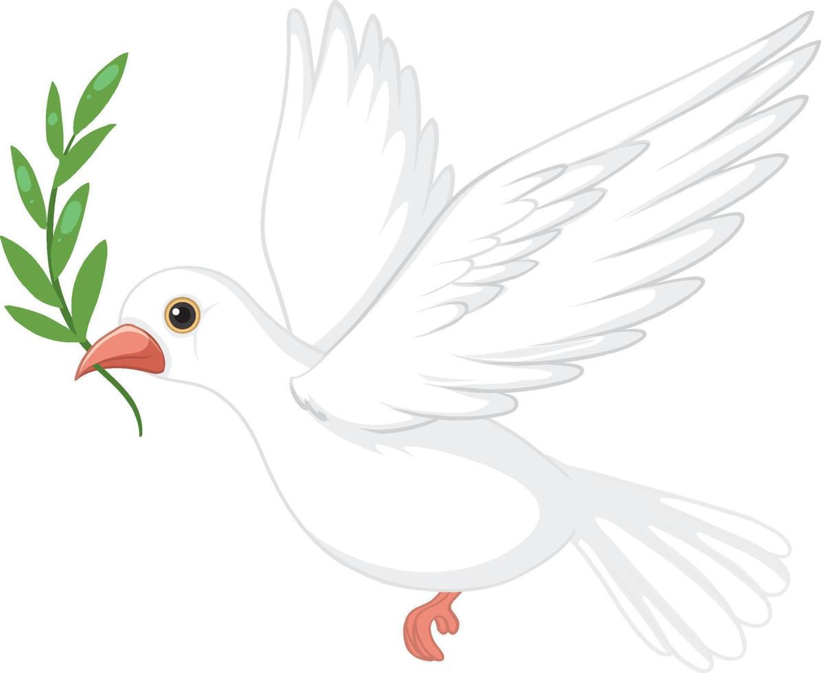 White dove carrying leaf vector