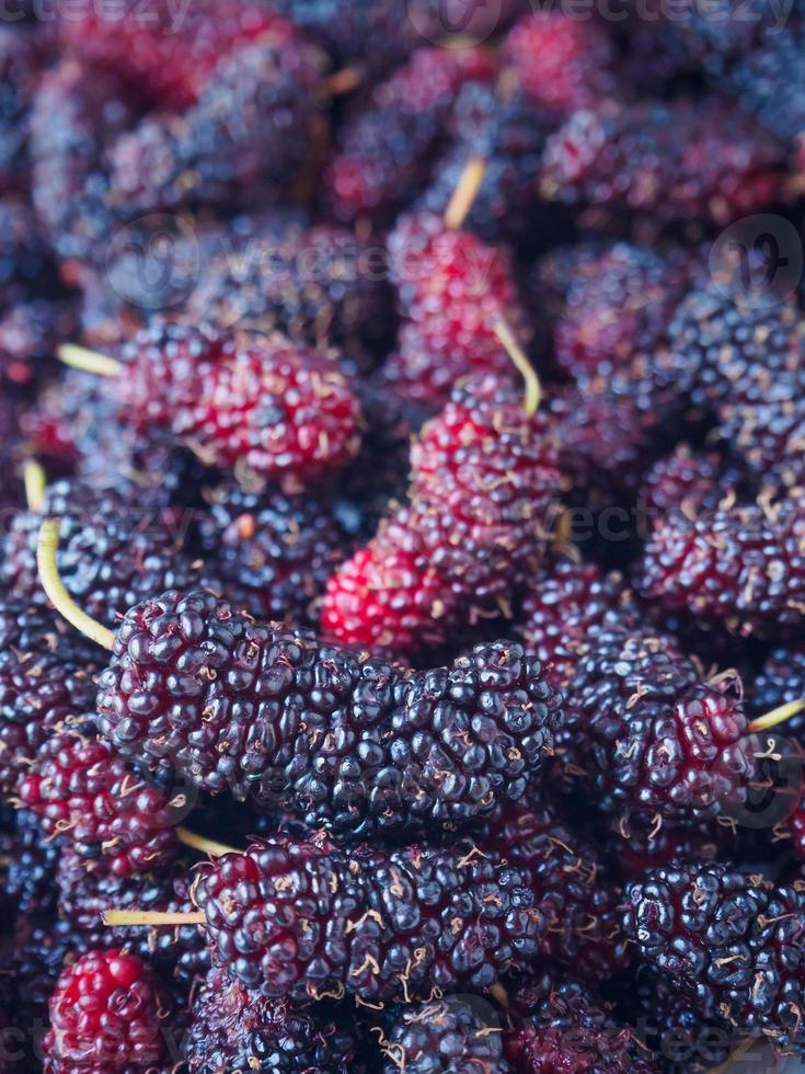 fresh mulberry closeup background photo