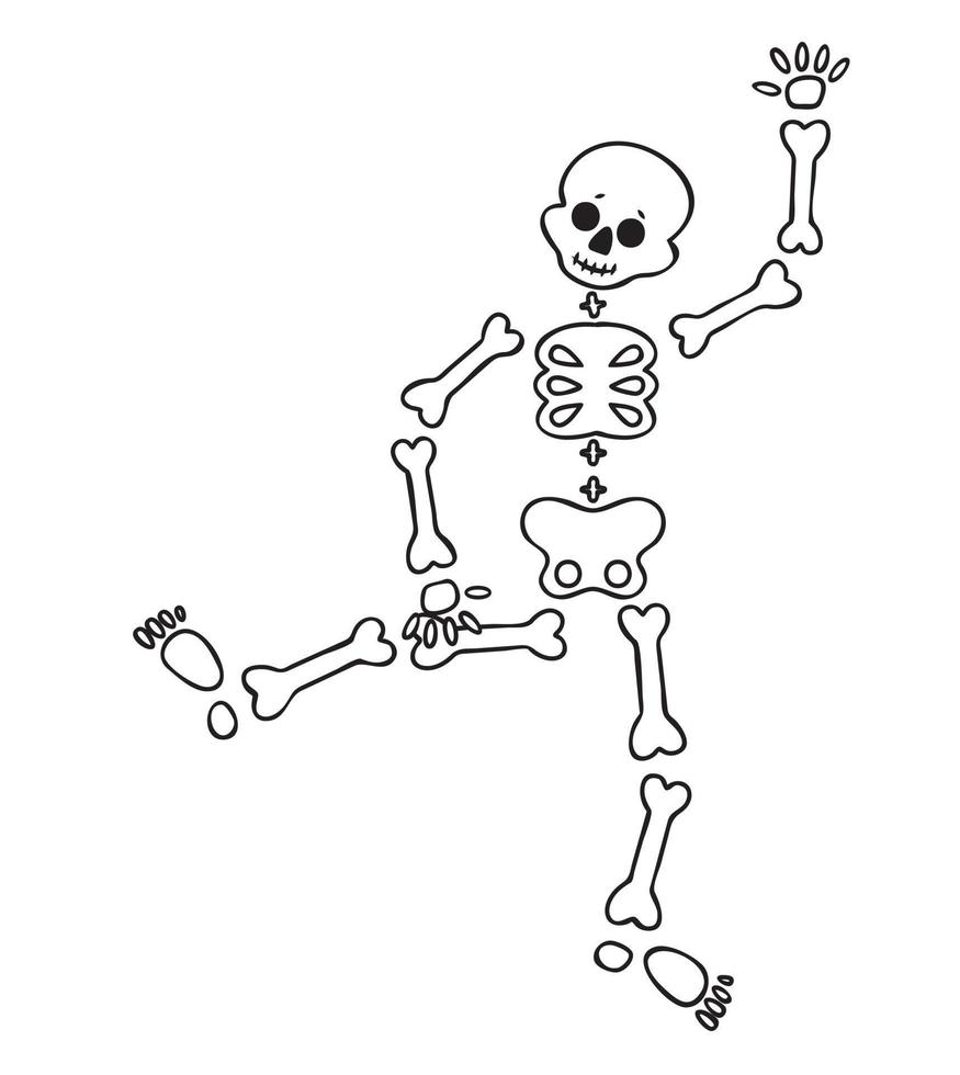 Funny cartoon dancing skeleton. Cute graphics for Halloween. Resume isolated illustration on white background. vector