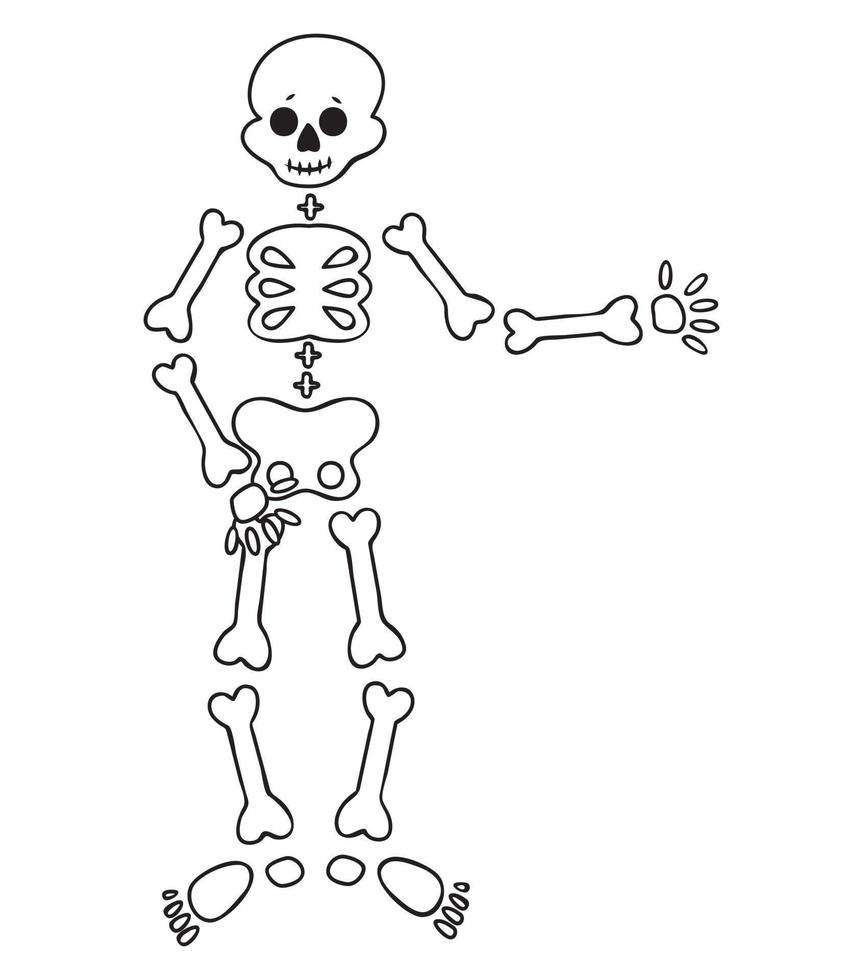 Funny cartoon dancing skeleton. Cute graphics for Halloween. Resume isolated illustration on white background. vector