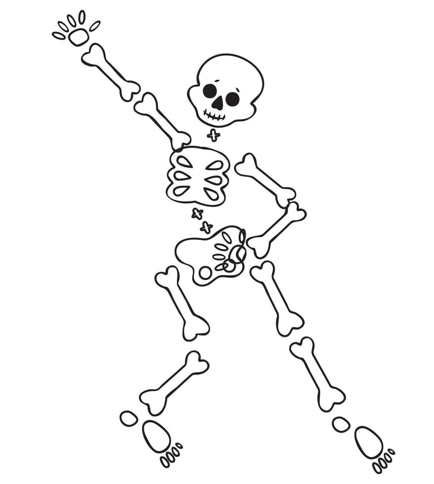 Funny cartoon dancing skeleton. Cute graphics for Halloween. Resume isolated illustration on white background. vector