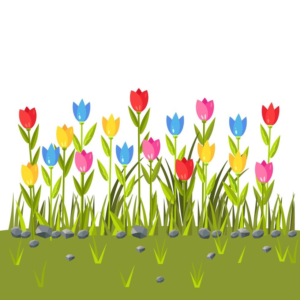 Flowers field with colorful tulips. Green grass border. Spring scene vector