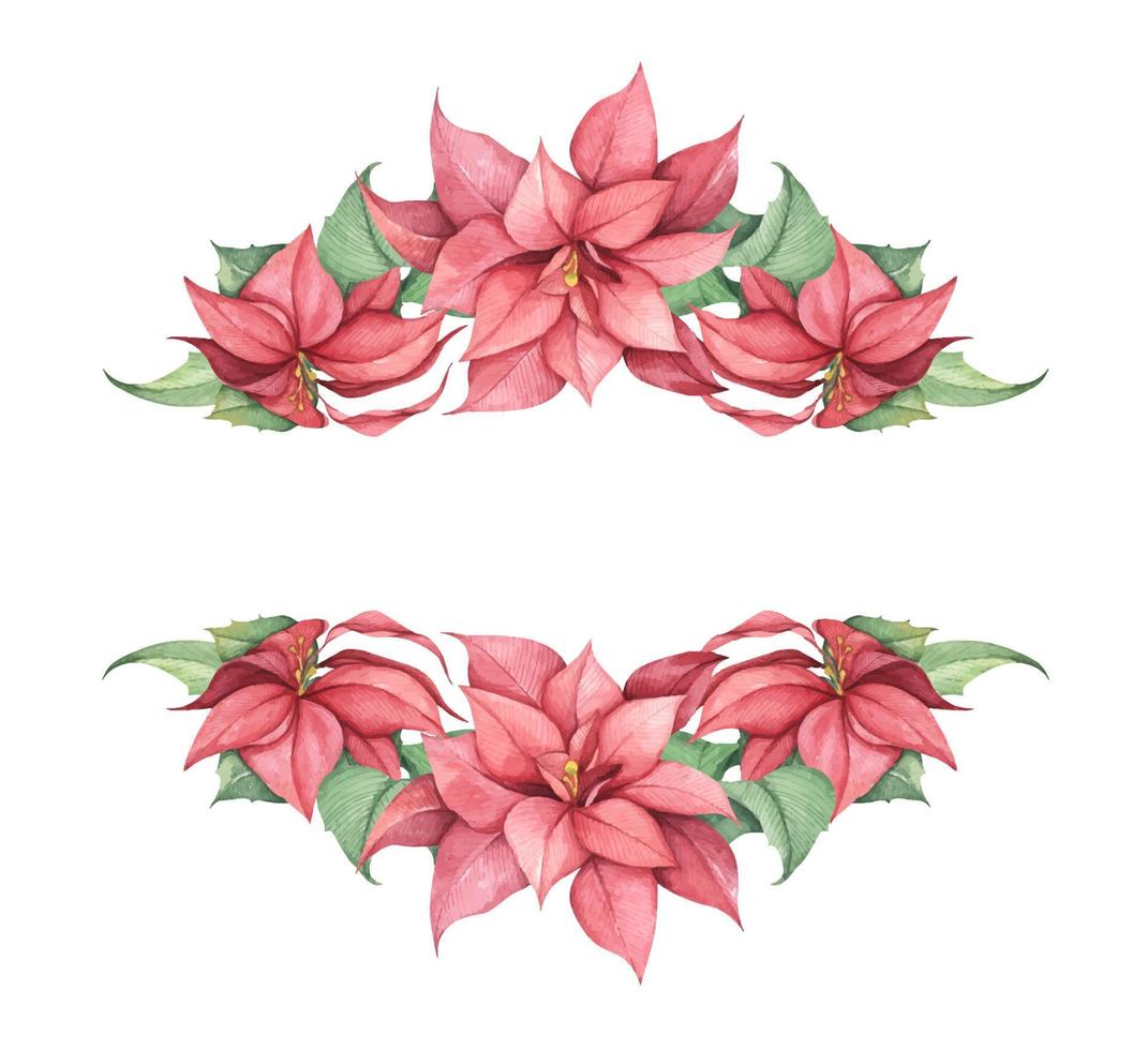 Set of Red Christmas poinsettia flowers. Watercolor illustration. vector