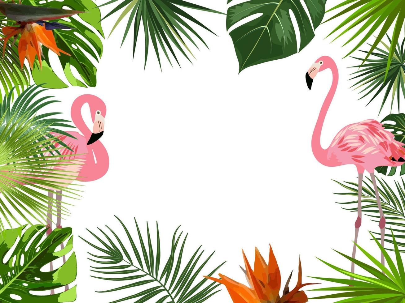 Vector tropical jungle frame with flamingo, palm trees, flowers and leaves on white background