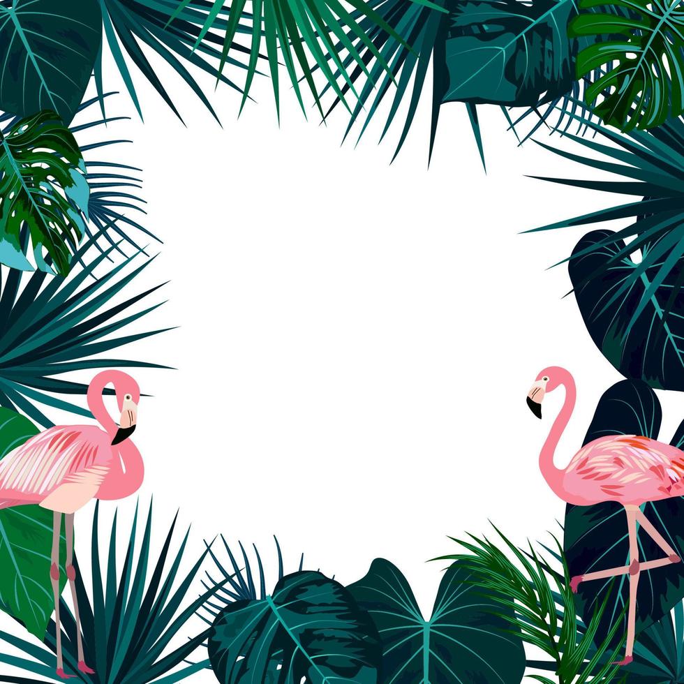 marco de selva tropical vectorial con flamencos, palmeras, flores y hojas sobre fondo blanco vector