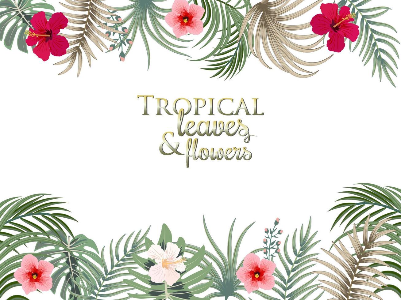 Tropical frame palm leaves, flowers, jungle leaves, botanical vector illustration