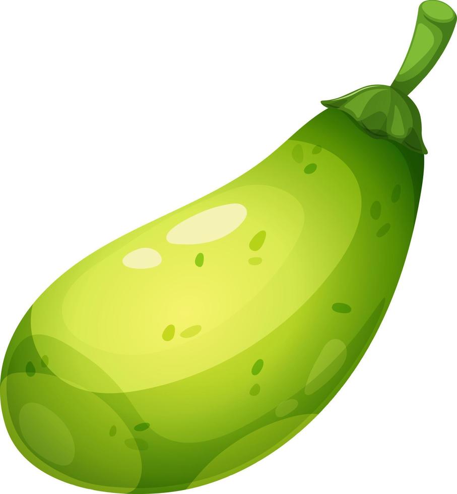 dibujos animados jugoso verde squash en transparente antecedentes vector