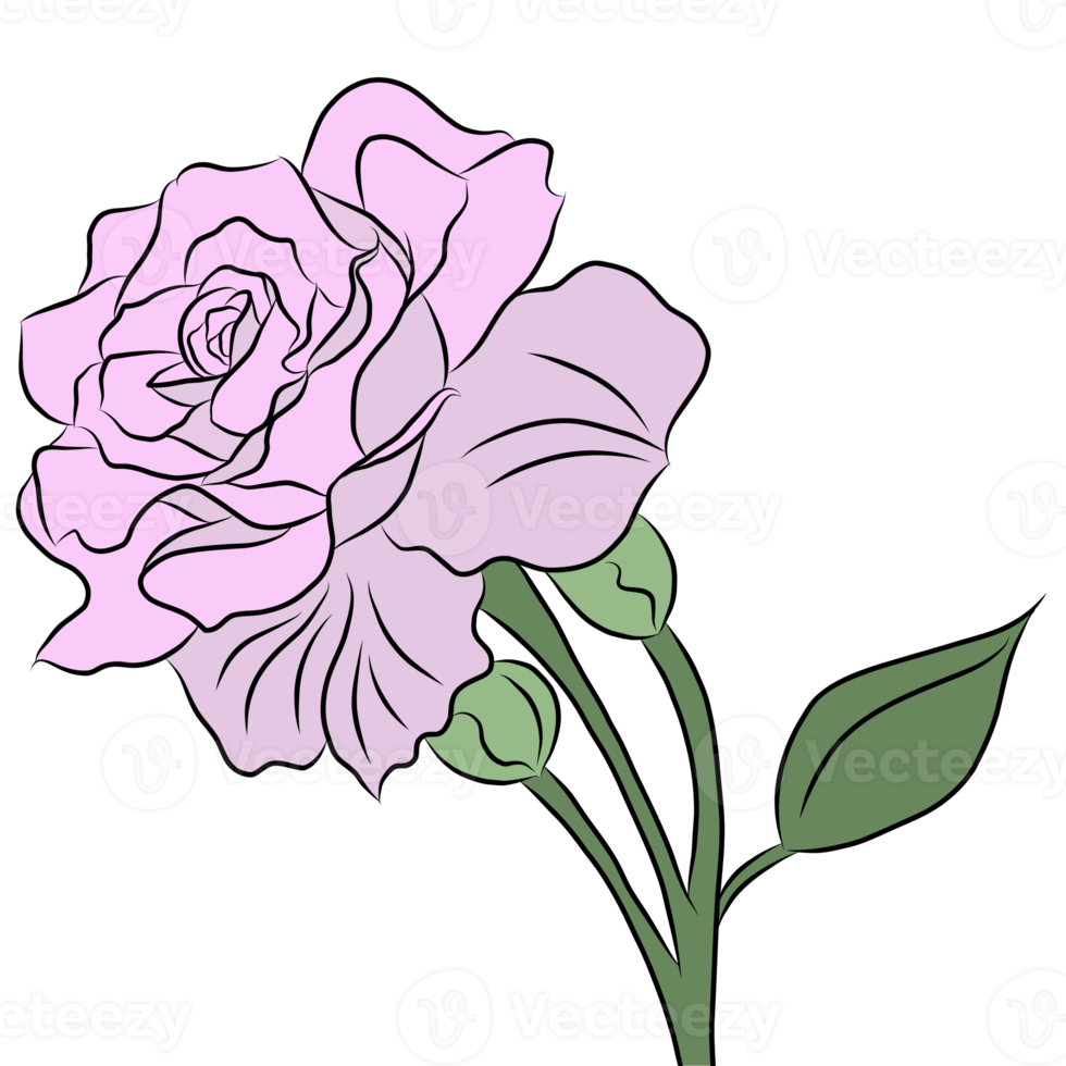 bouquet de roses fleurs png