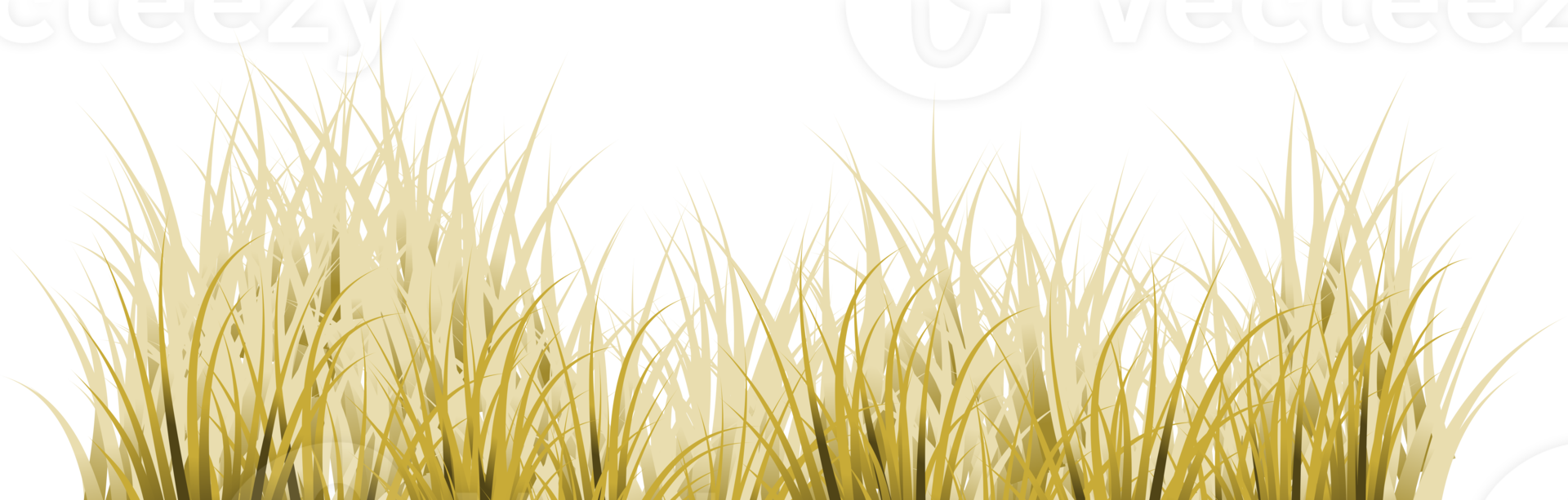 brown grass. dry grass png