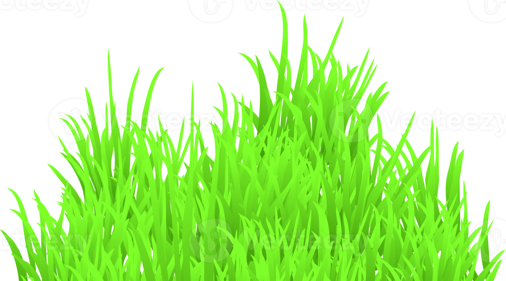 herbe verte png