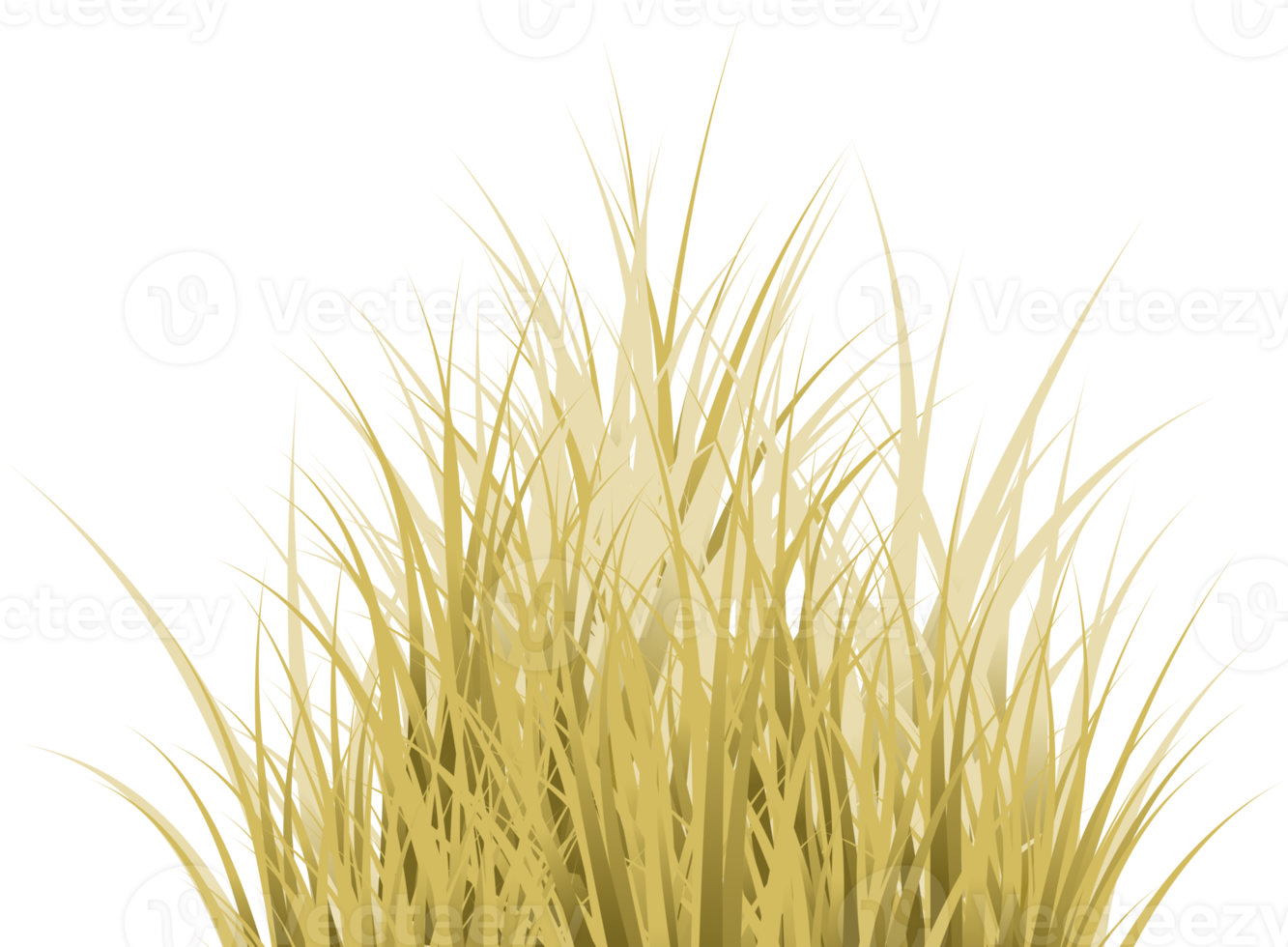 brown grass. dry grass png