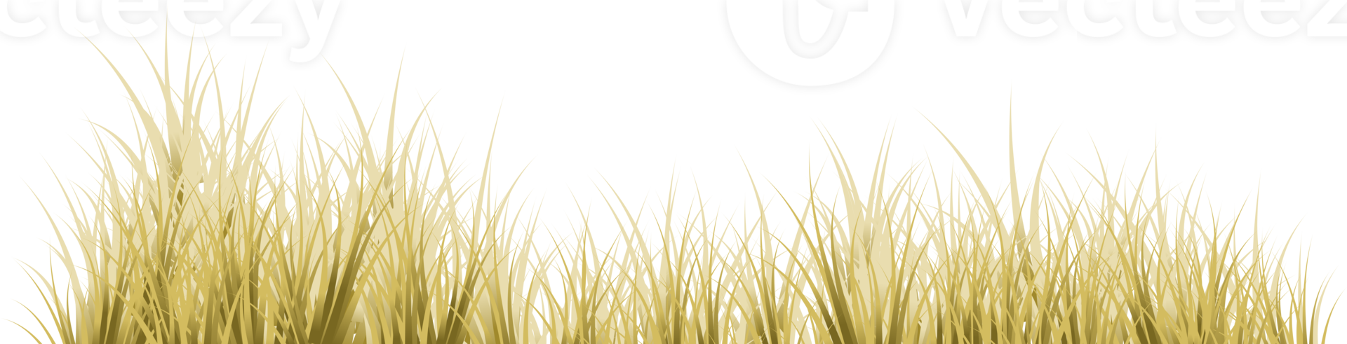 brown grass. dry grass png