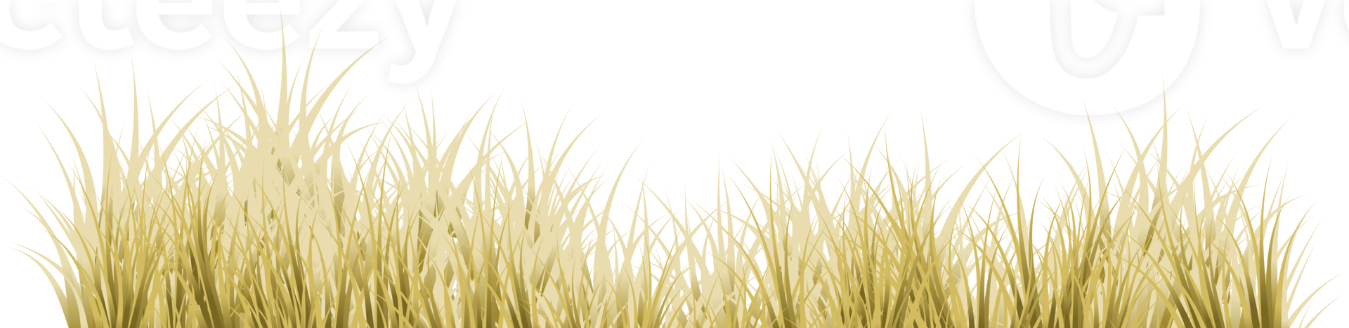 braun Gras. trocken Gras png