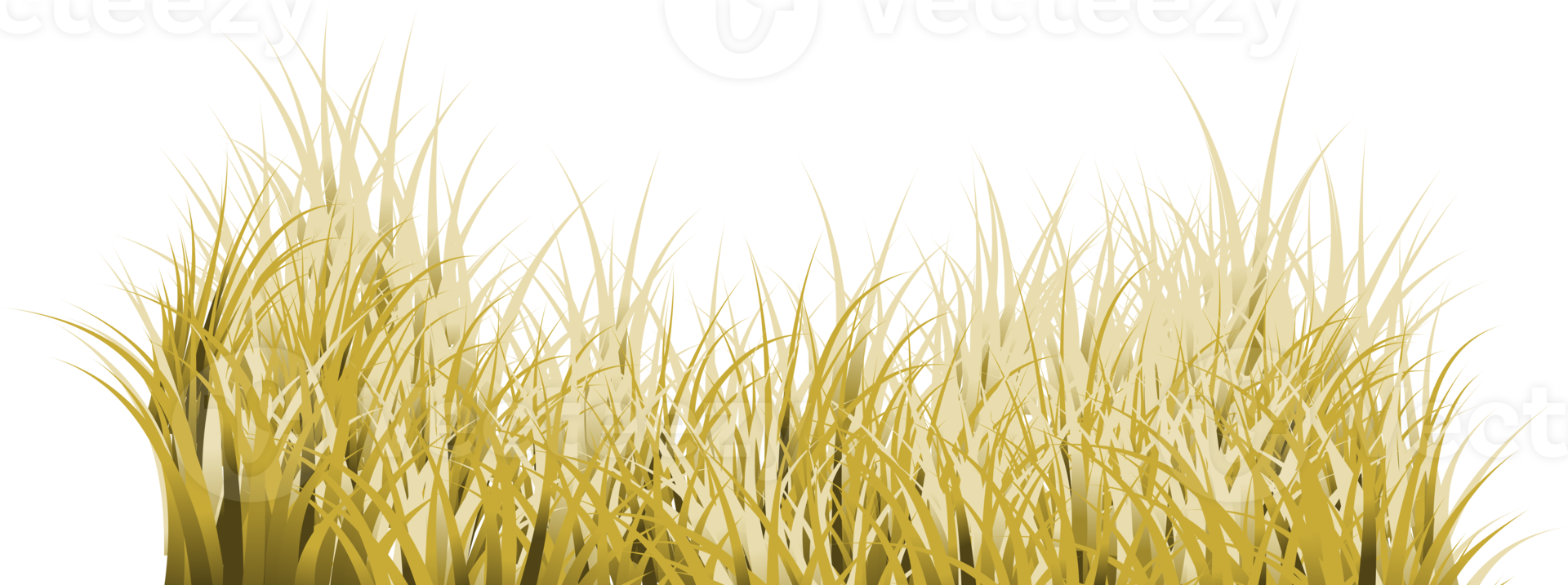 brown grass. dry grass png