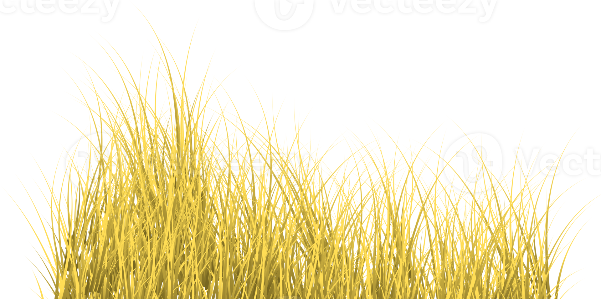 brown grass png 19873298 PNG