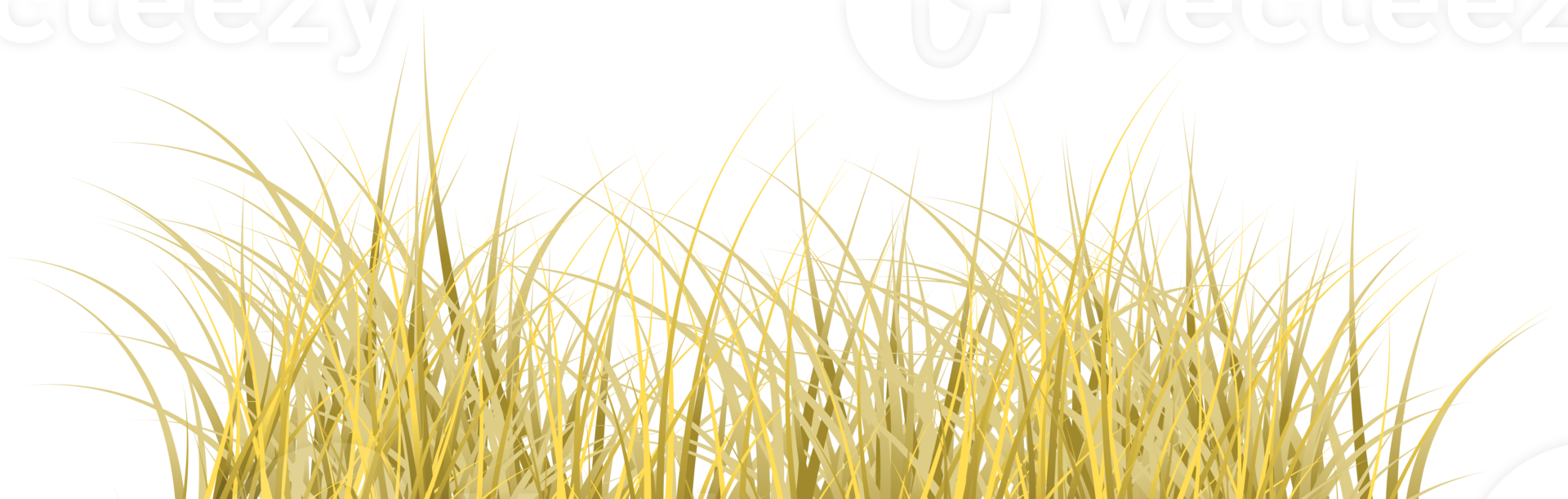 brown grass png