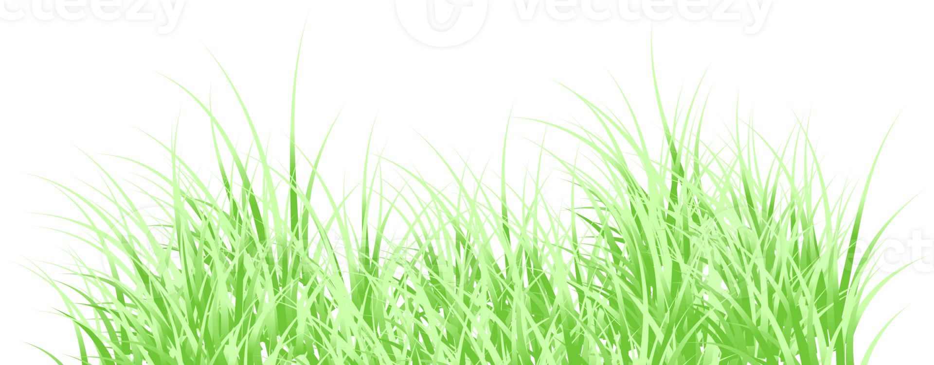 hierba verde png