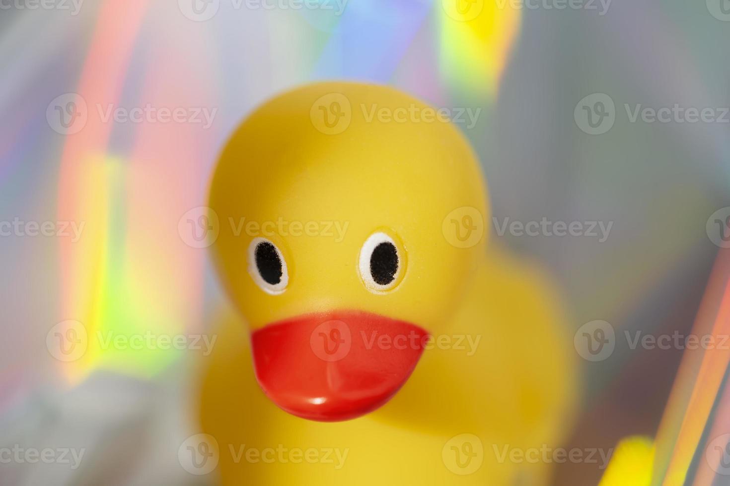Yellow rubber duck on holographic trendy background. photo