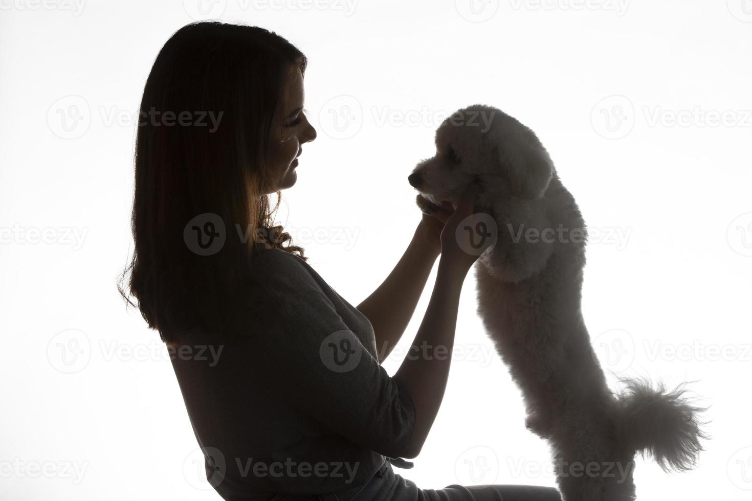 Dark silhouette of a girl with a bichon puppy on a white background. photo