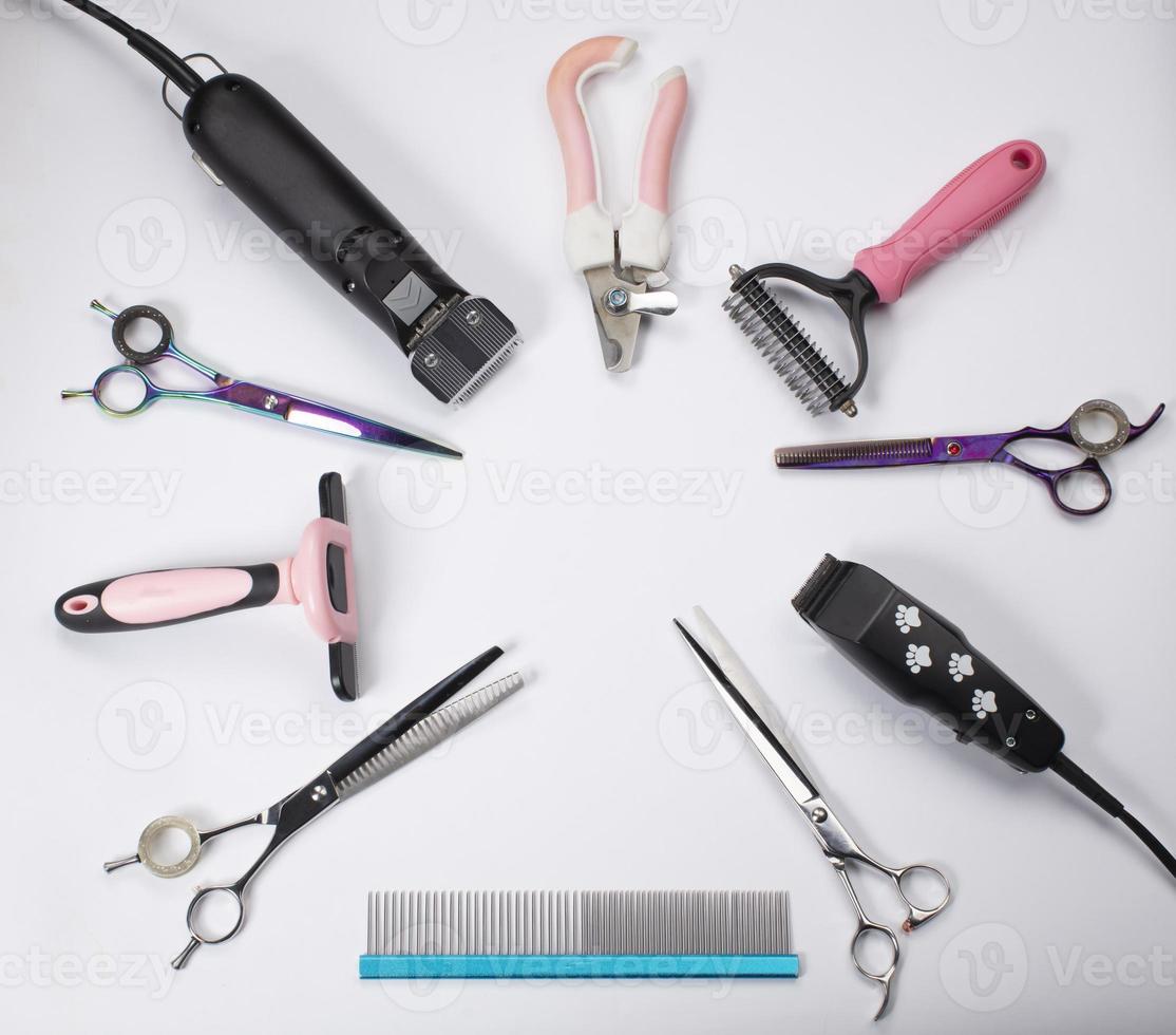 Tool for the groomer on a white background. Dog grooming accessories. Scissors for cutting animals. View from above photo