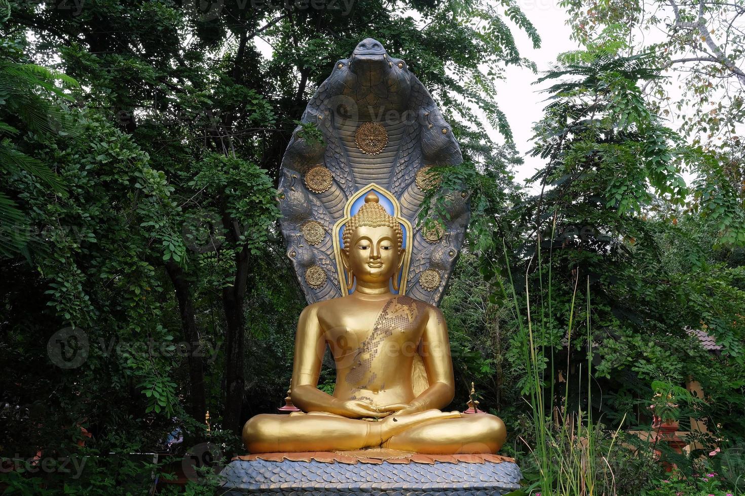 Ancient Golden Buddha Image Protected by the Hood of the Mythical Serpent or Naga in the Garden at Wat Doi Prachan Mae Tha, Mae Tha District, Lampang where is a Landmark of Thailand. photo