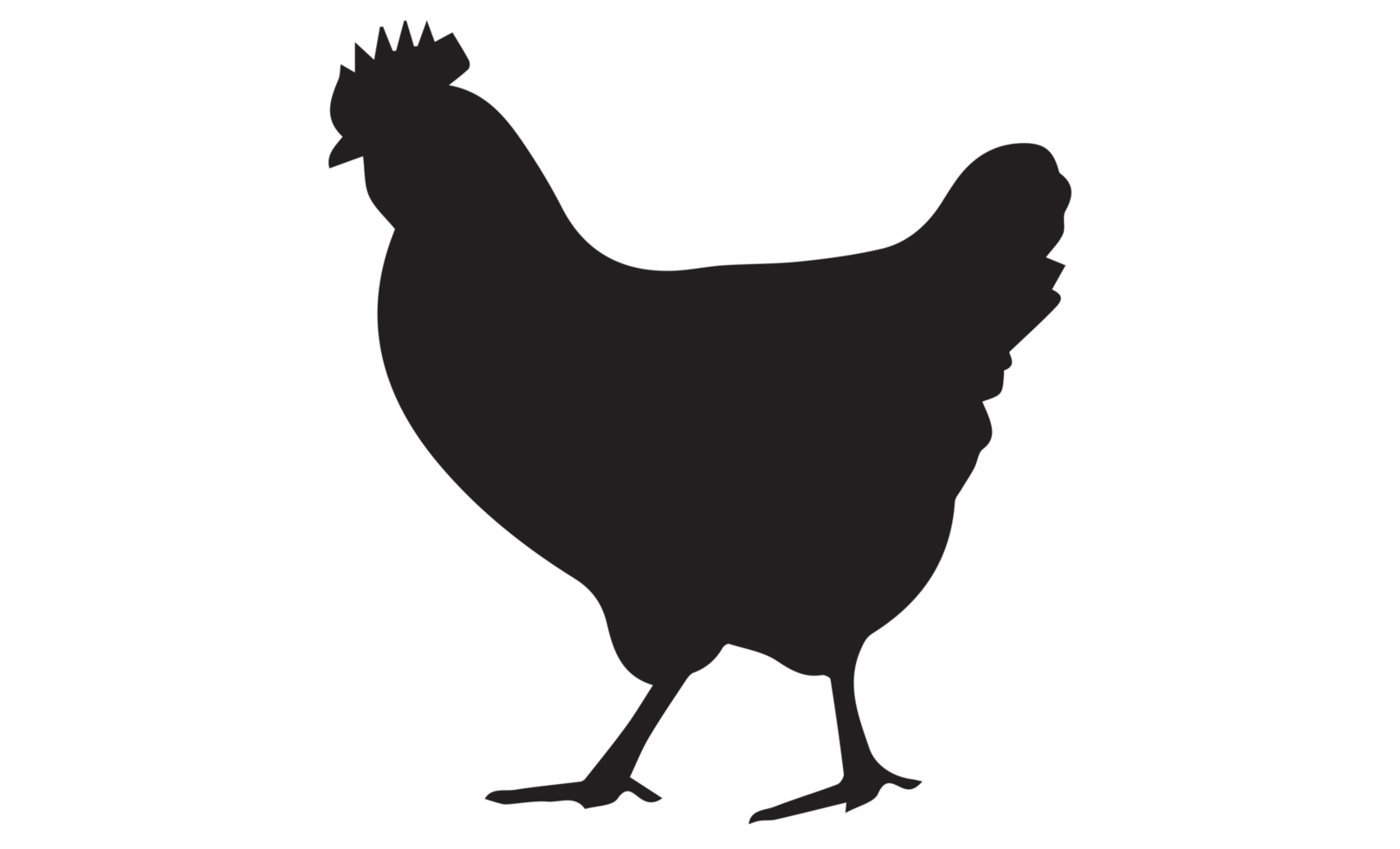 Hen - Chicken icon png on Transparent Background