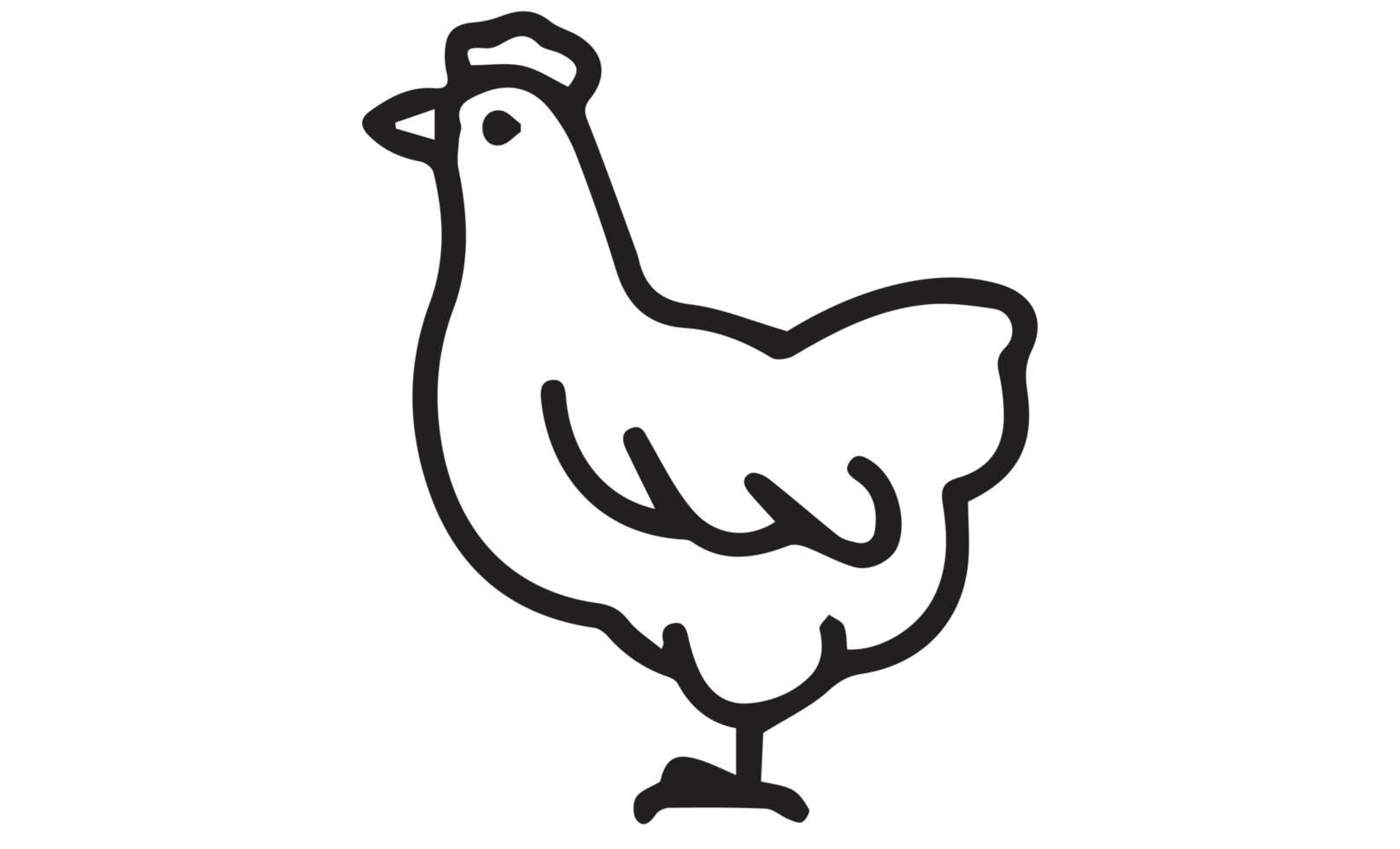 galinha - frango ícone png em transparente fundo