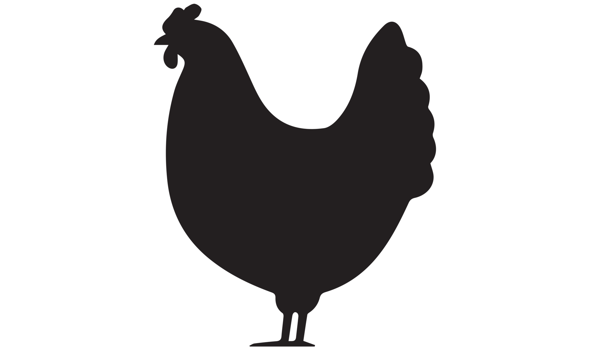 Hen - Chicken icon png on Transparent Background 19879219 PNG