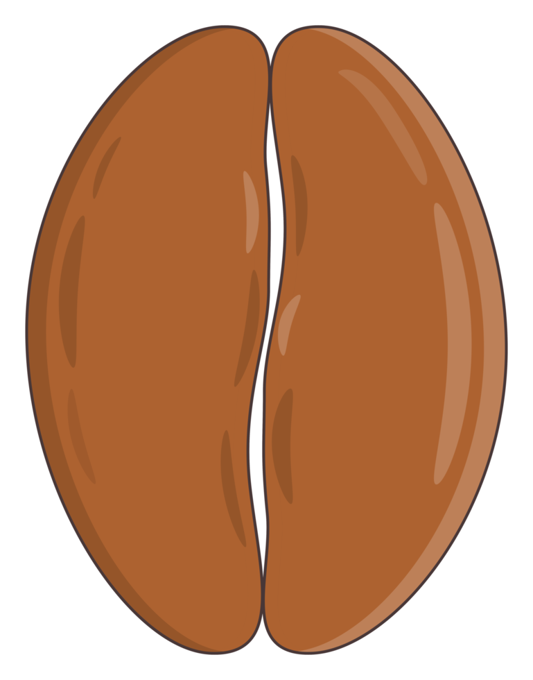 marrón café frijol pegatina png