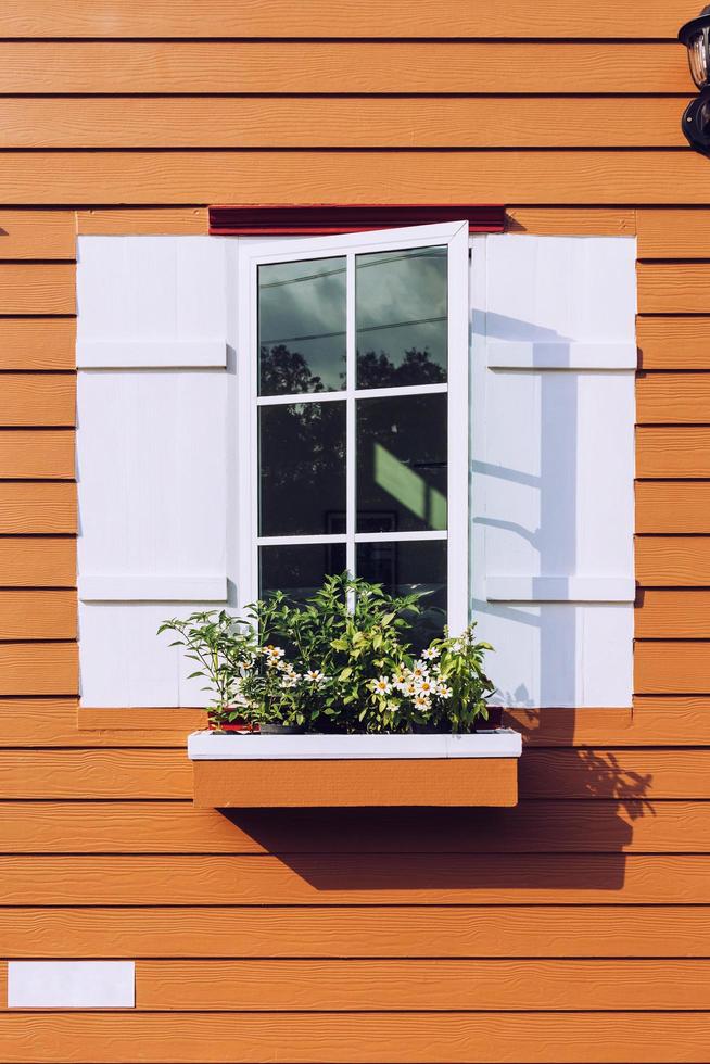 white window open and flower at house photo