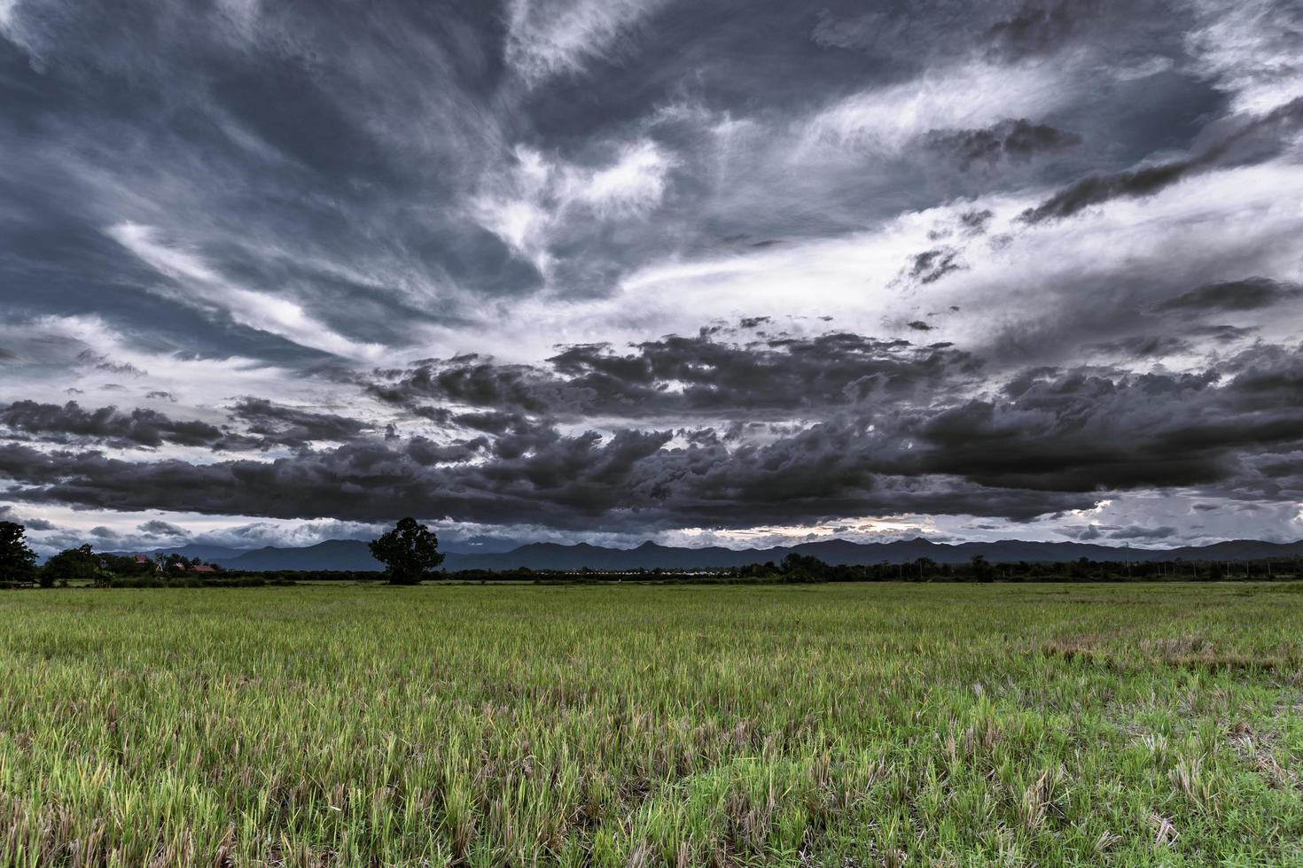 Storm Clouds before rainy and field meadow photo