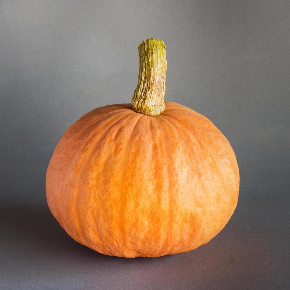 Fresh orange pumpkin on gray background photo