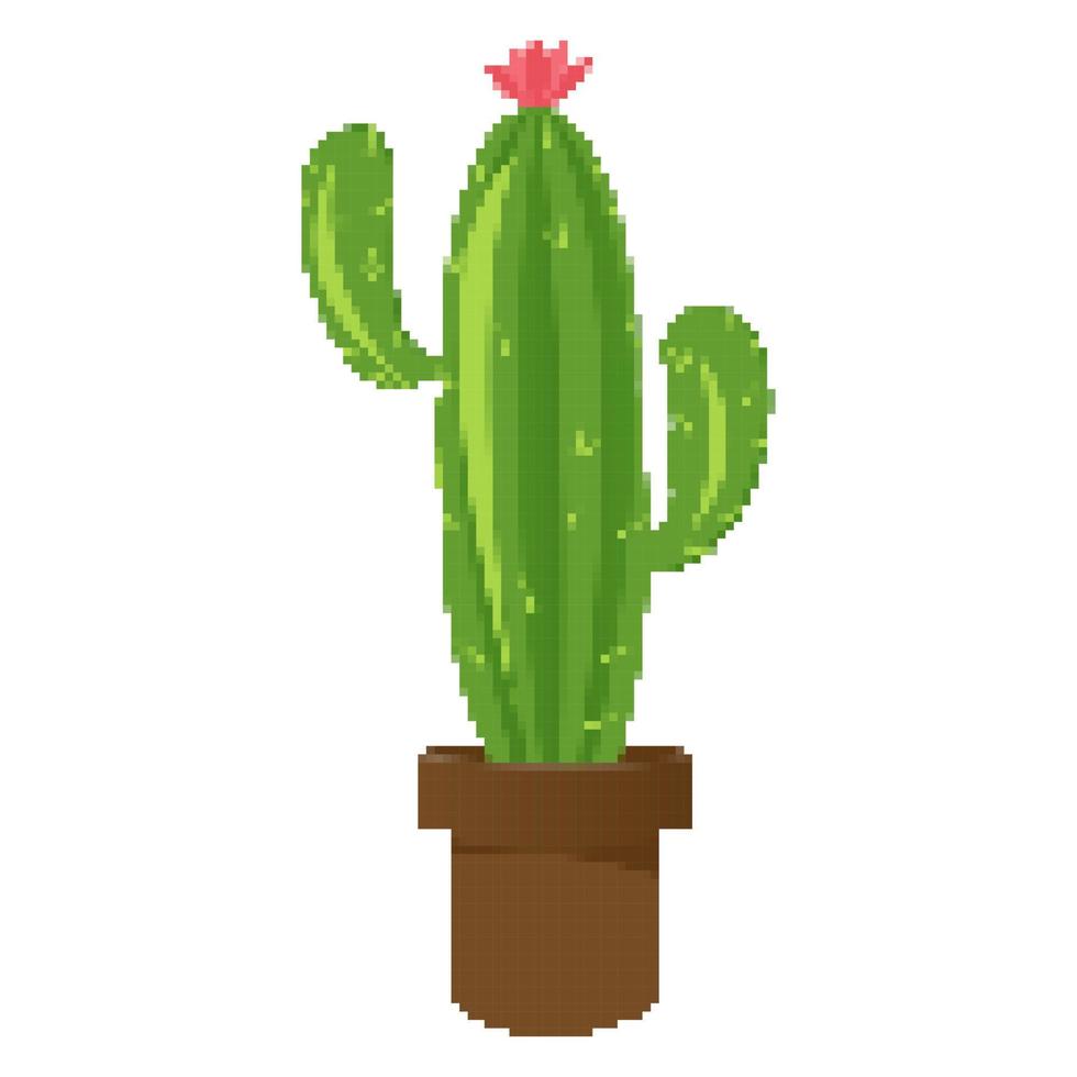 píxel Arte cactus para computadora juego, vector gráfico