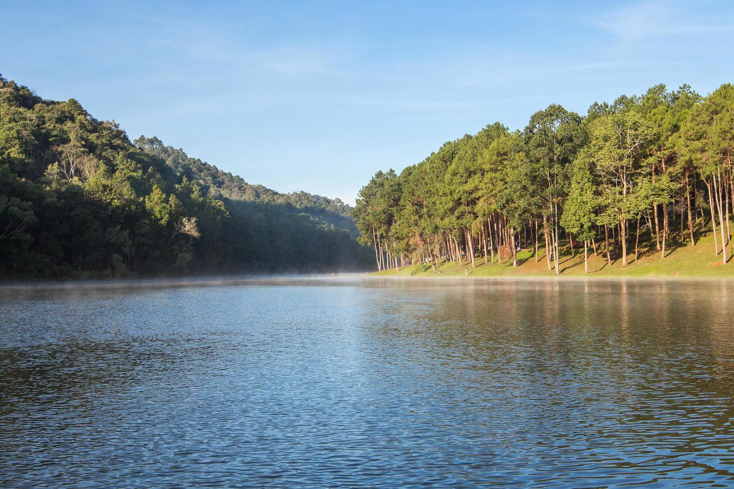 Pang Ung Forestry Plantations in winter ,Maehongson, North of Thailand photo