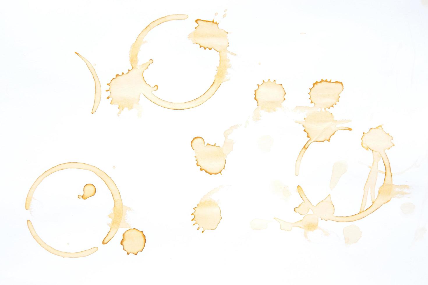 Coffee Stains and coffee cup stains on white background. photo