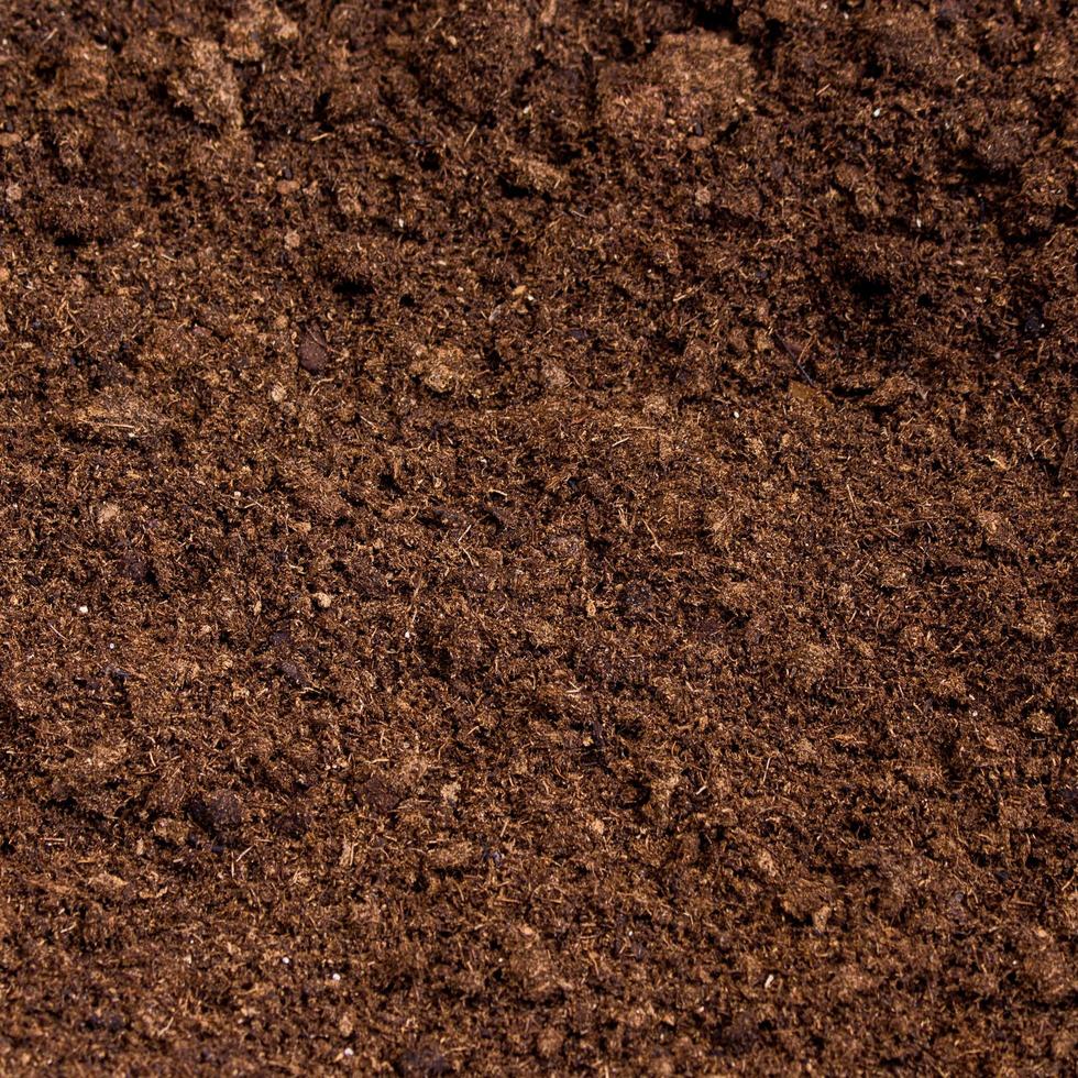 peat moss soil photo