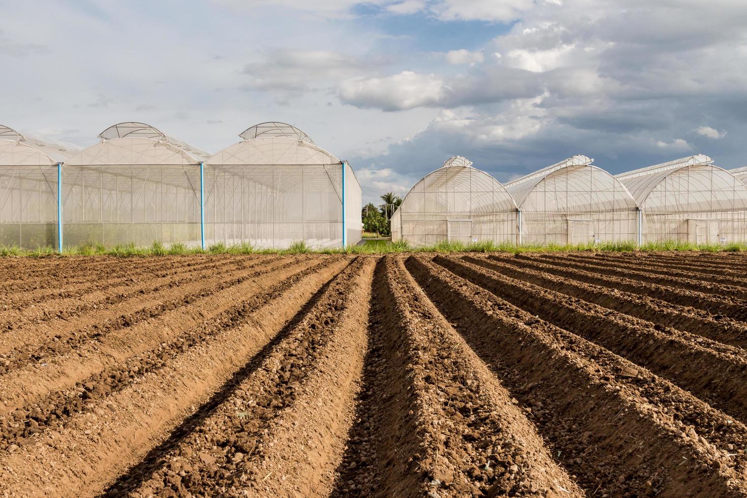soil preparation for sowing vegetable in field agriculture. photo