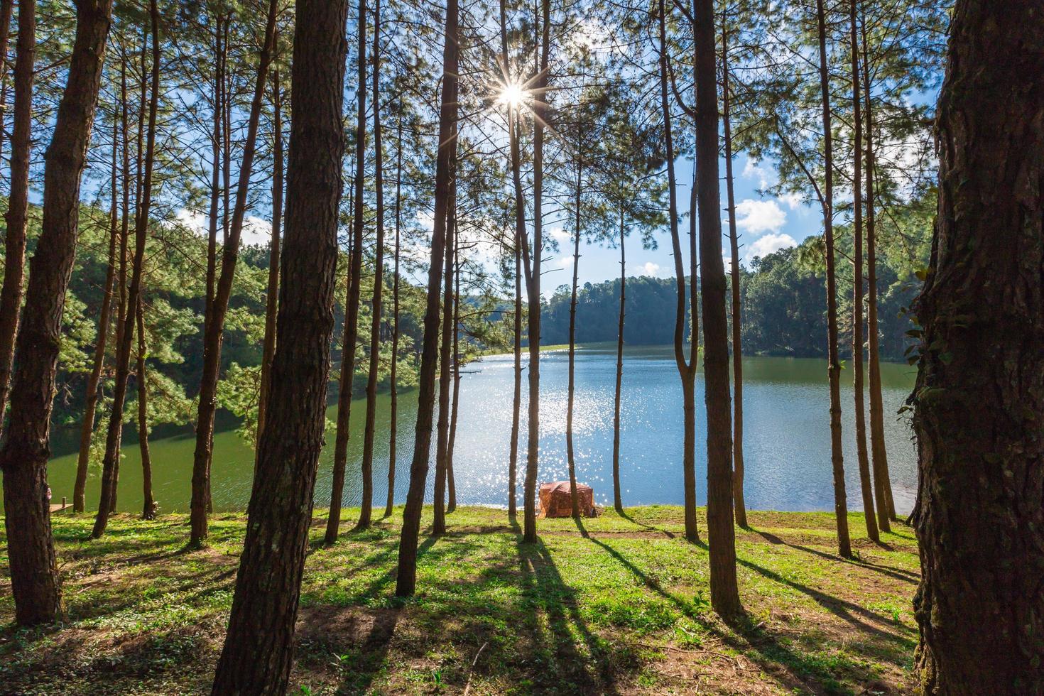 angustia joven reservorio en prohibición rak tailandés a maehongson , Tailandia foto