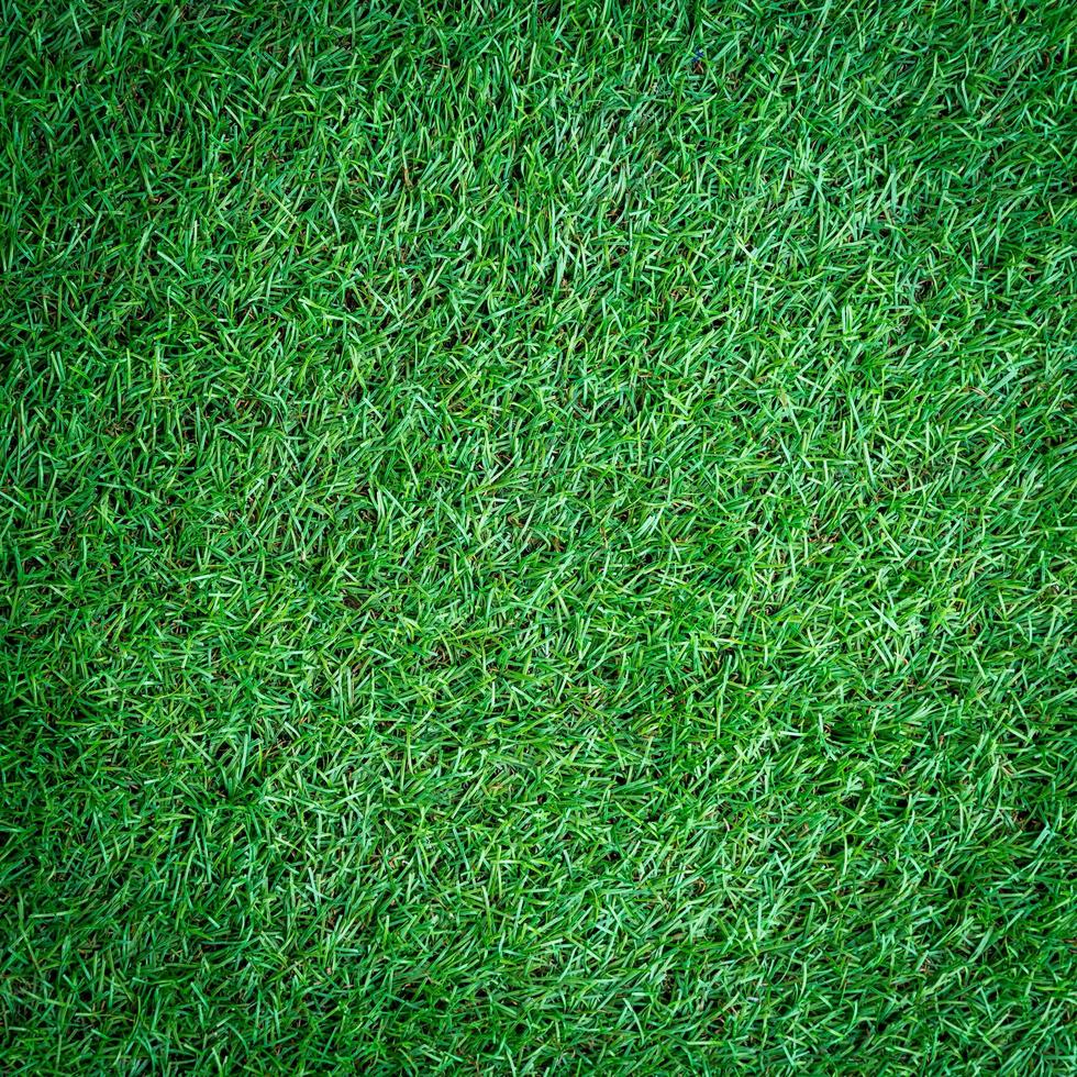 artificial Turf grass background and texture photo