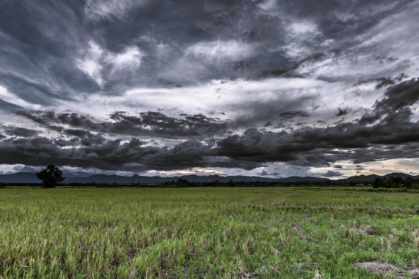 Storm Clouds before rainy and field meadow photo