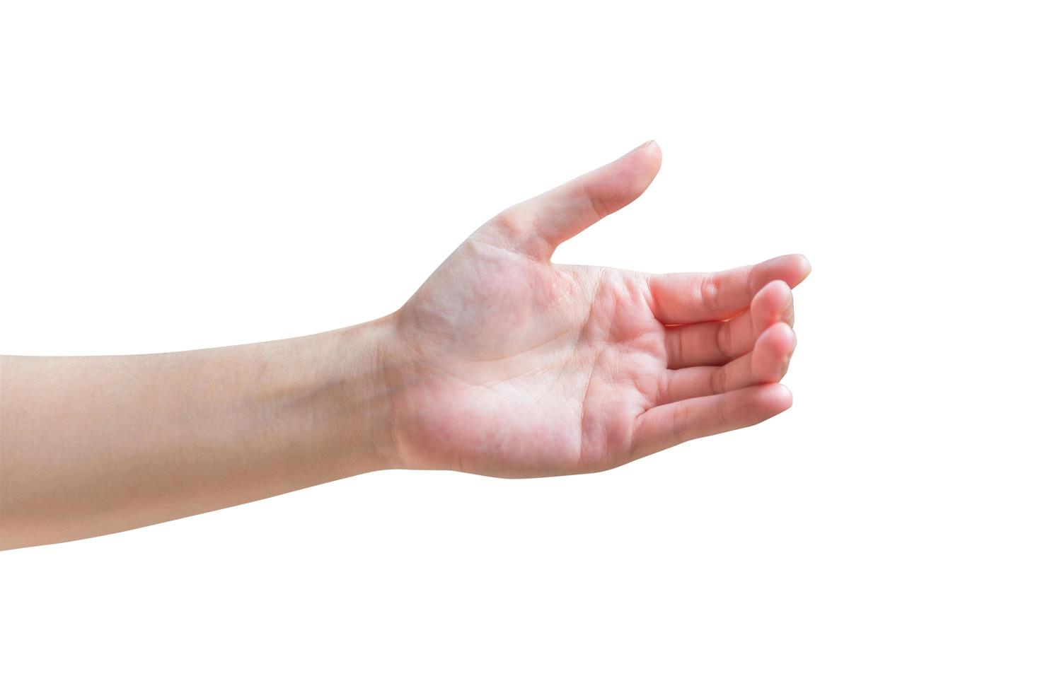 One female hand isolated with clipping path. photo